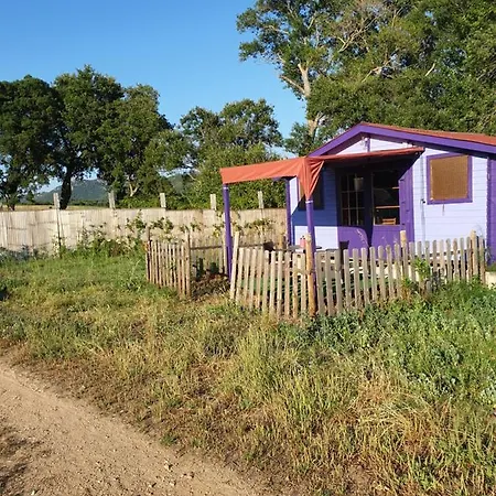 De Fet Quarto em Acomodações Particulares *